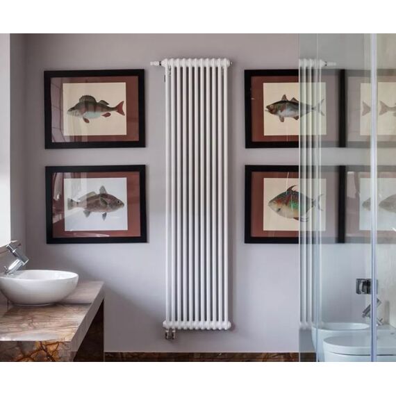 Arbonia трубчатый радиатор